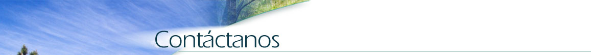 contatanos
