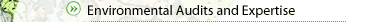 Audits and expertise