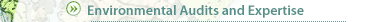 Audits and expertise