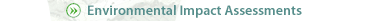 Impact Assessments