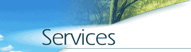 services