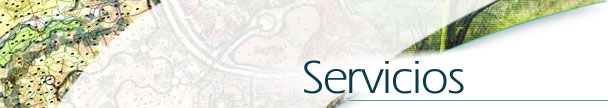servicios